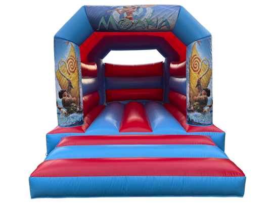 Party Fun (Moana)