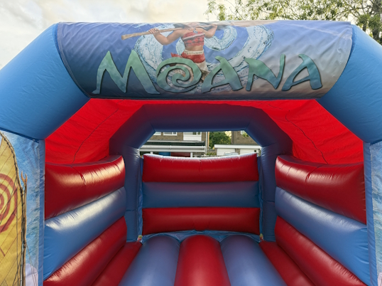 Party Fun (Moana)