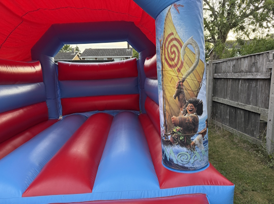 Party Fun (Moana)