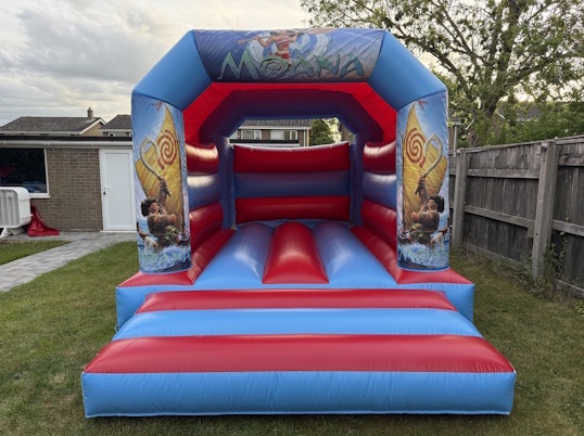Party Fun (Moana)