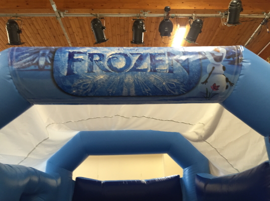 Party Fun N Slide (Frozen)