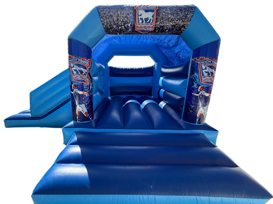 Party Fun N Slide (ITFC)